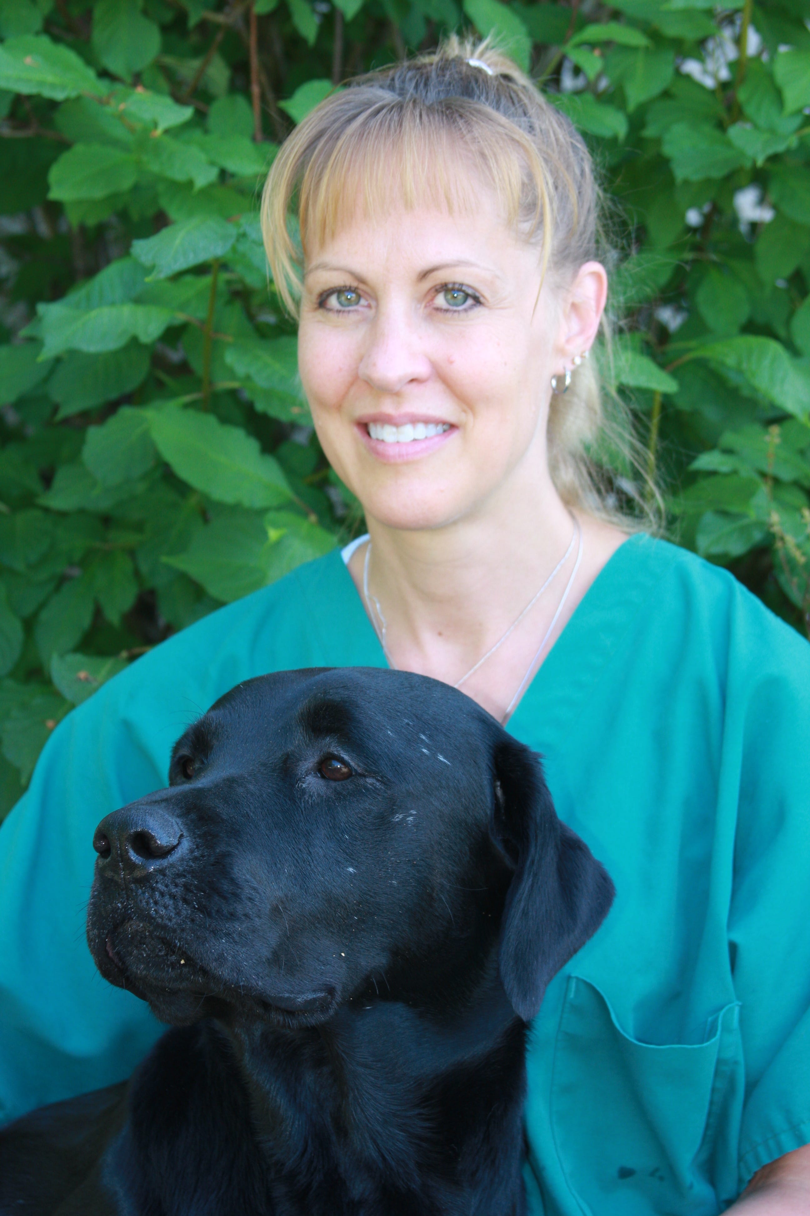 my dog pants all night